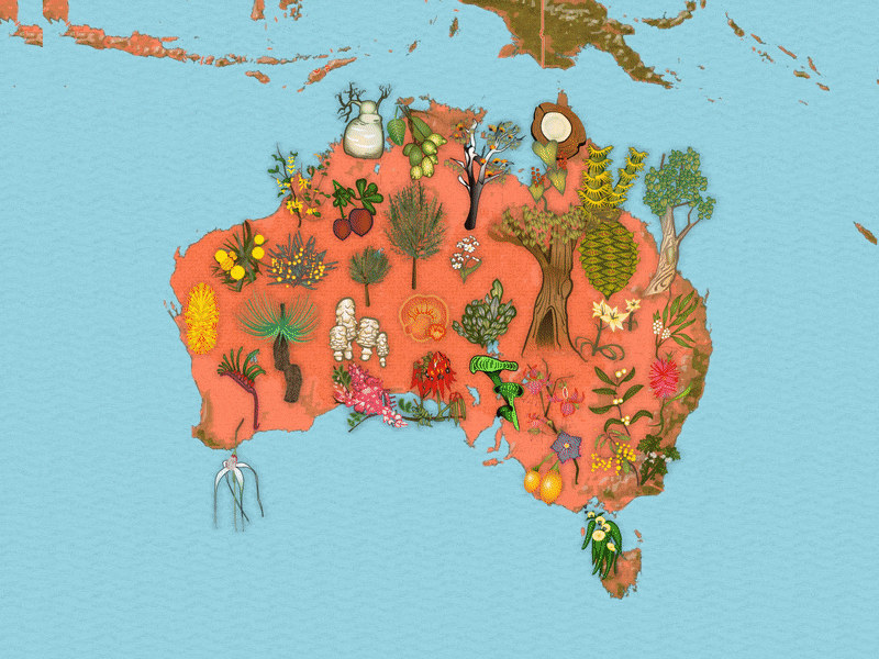 Story Maps Australia Flora and Fauna animation